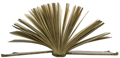 Civil Lawyers in Italy